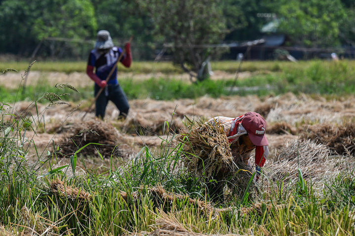 research paper on poverty in the philippines